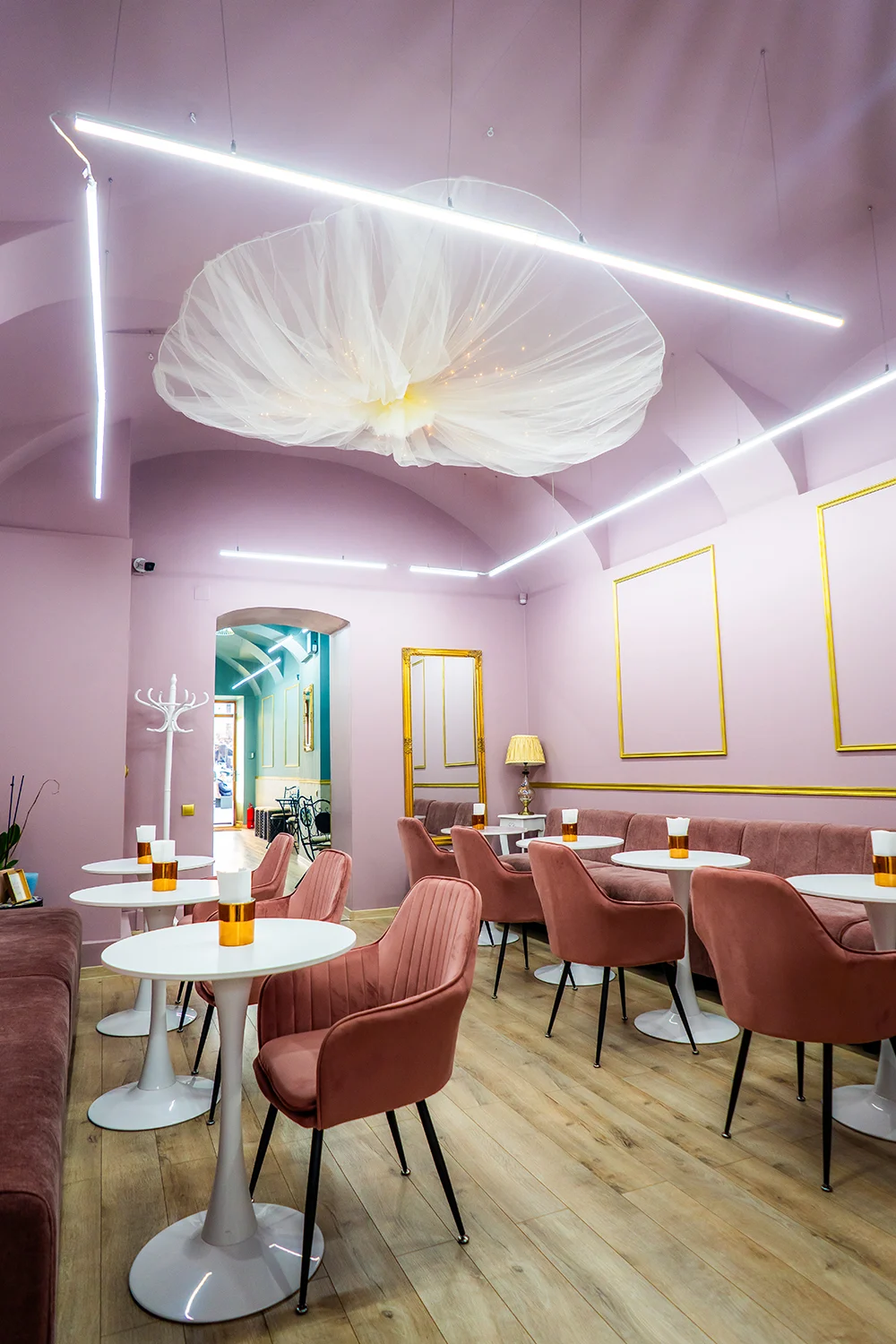 Vedere generală sala roz